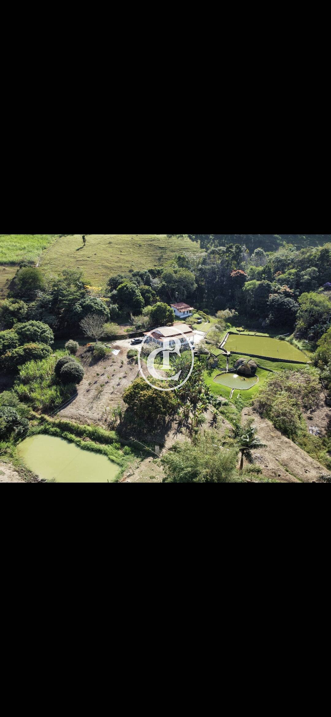 Chácara, 4 quartos, 3 hectares - Foto 3