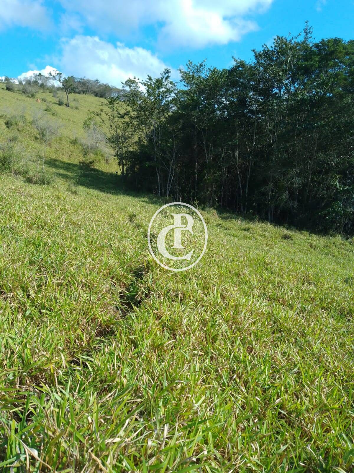 Sítio, 1 quarto, 36 hectares - Foto 4