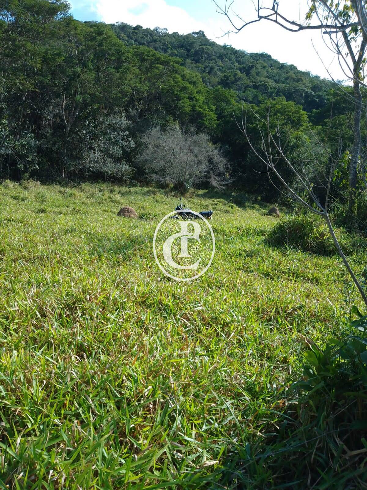 Sítio, 1 quarto, 36 hectares - Foto 5