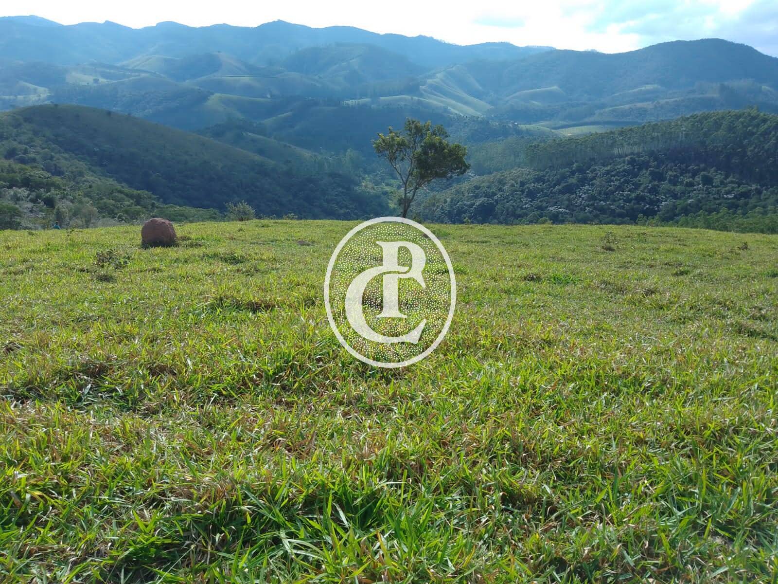 Sítio, 1 quarto, 36 hectares - Foto 10