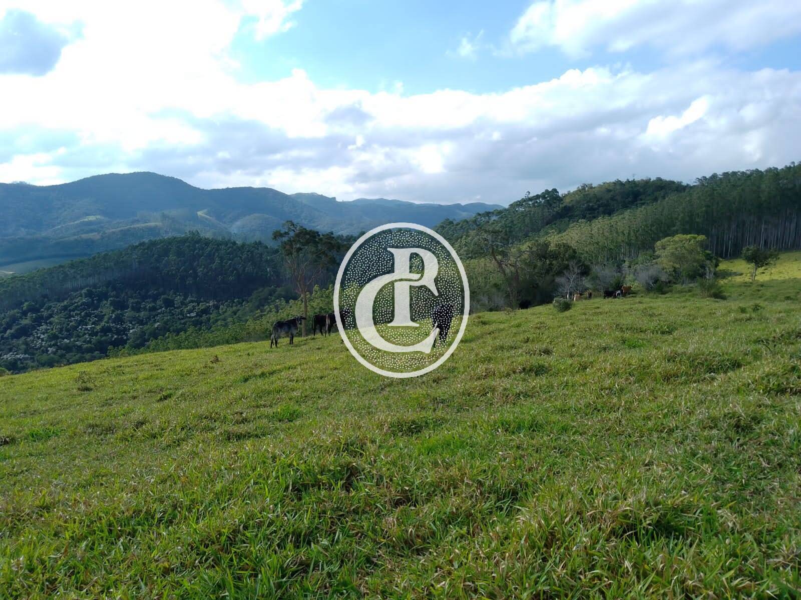 Sítio, 1 quarto, 36 hectares - Foto 14