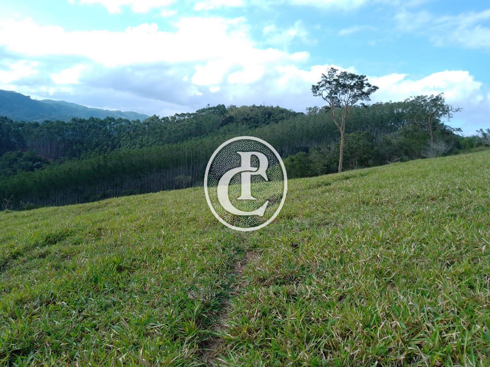 Sítio, 1 quarto, 36 hectares - Foto 1