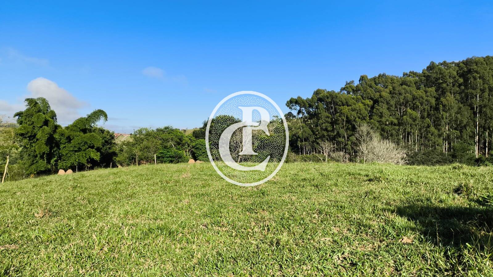 Sítio, 3 quartos, 10 hectares - Foto 4