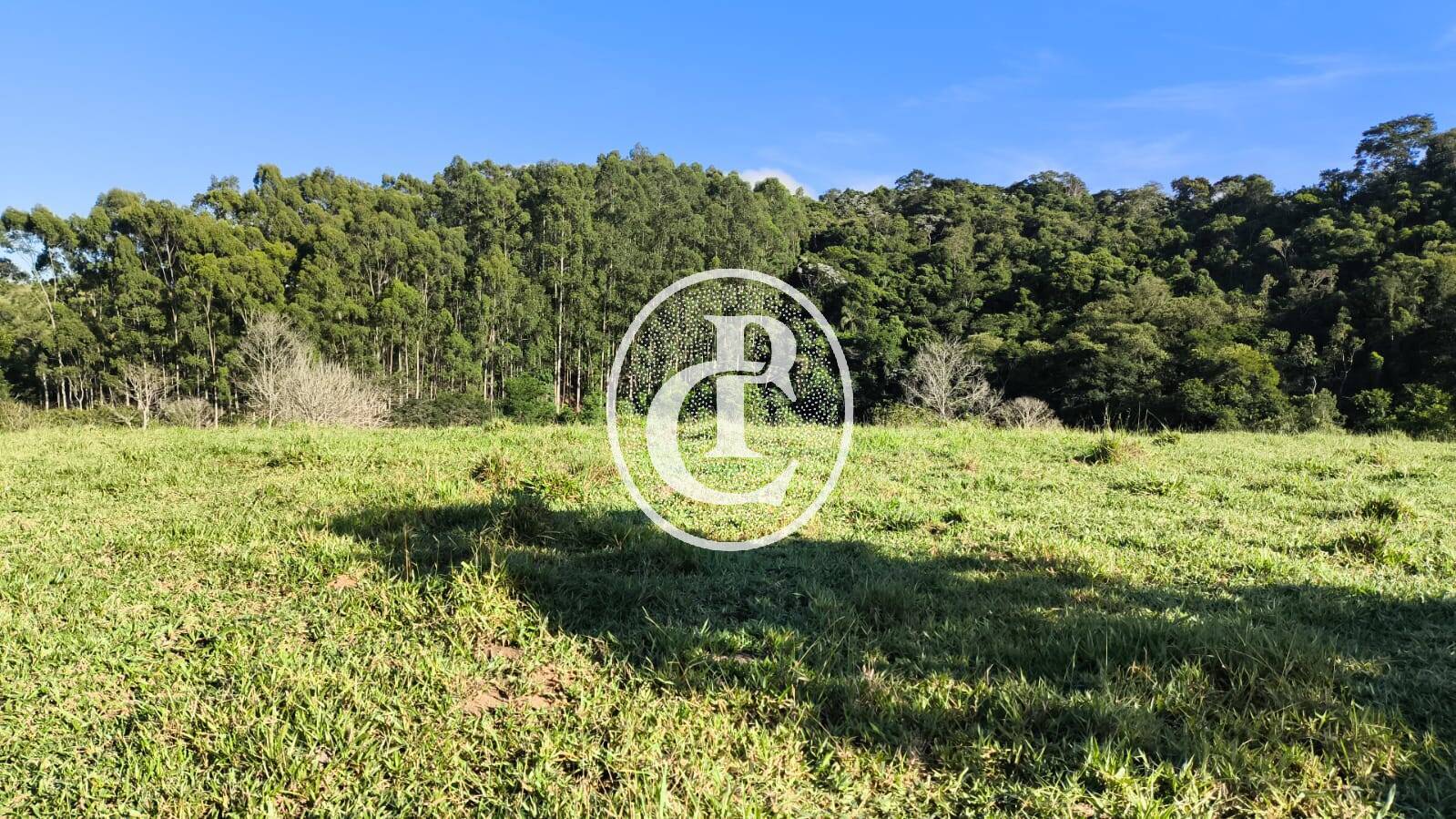 Sítio, 3 quartos, 10 hectares - Foto 5