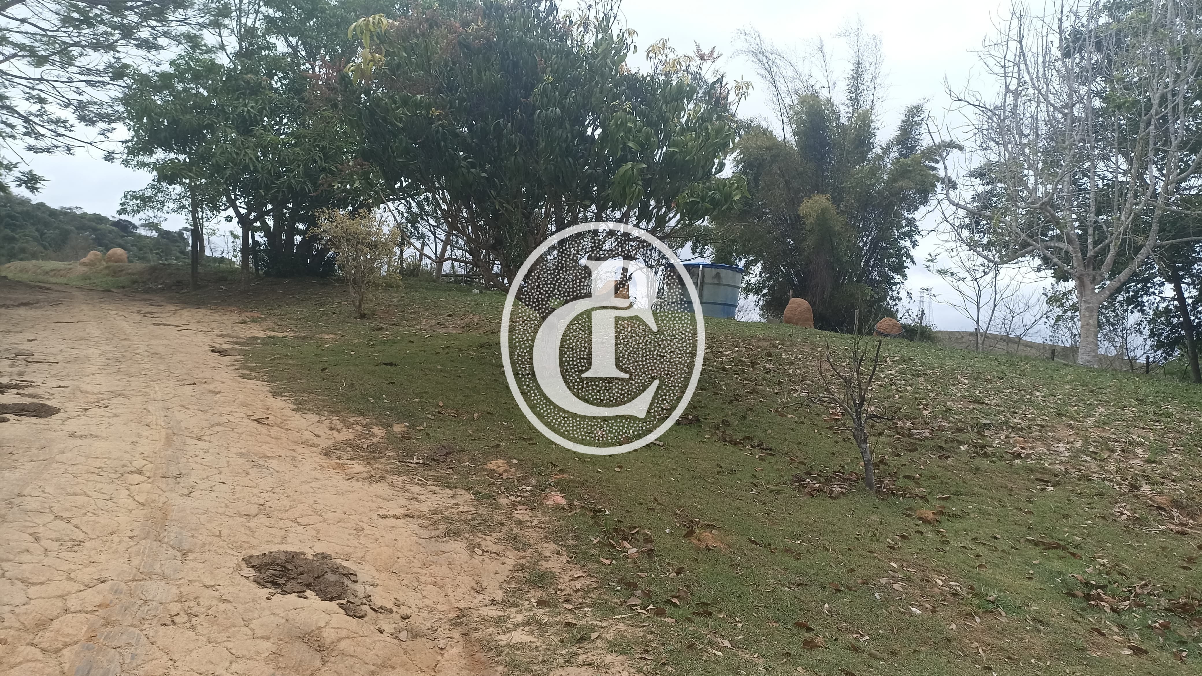 Sítio, 3 quartos, 10 hectares - Foto 3