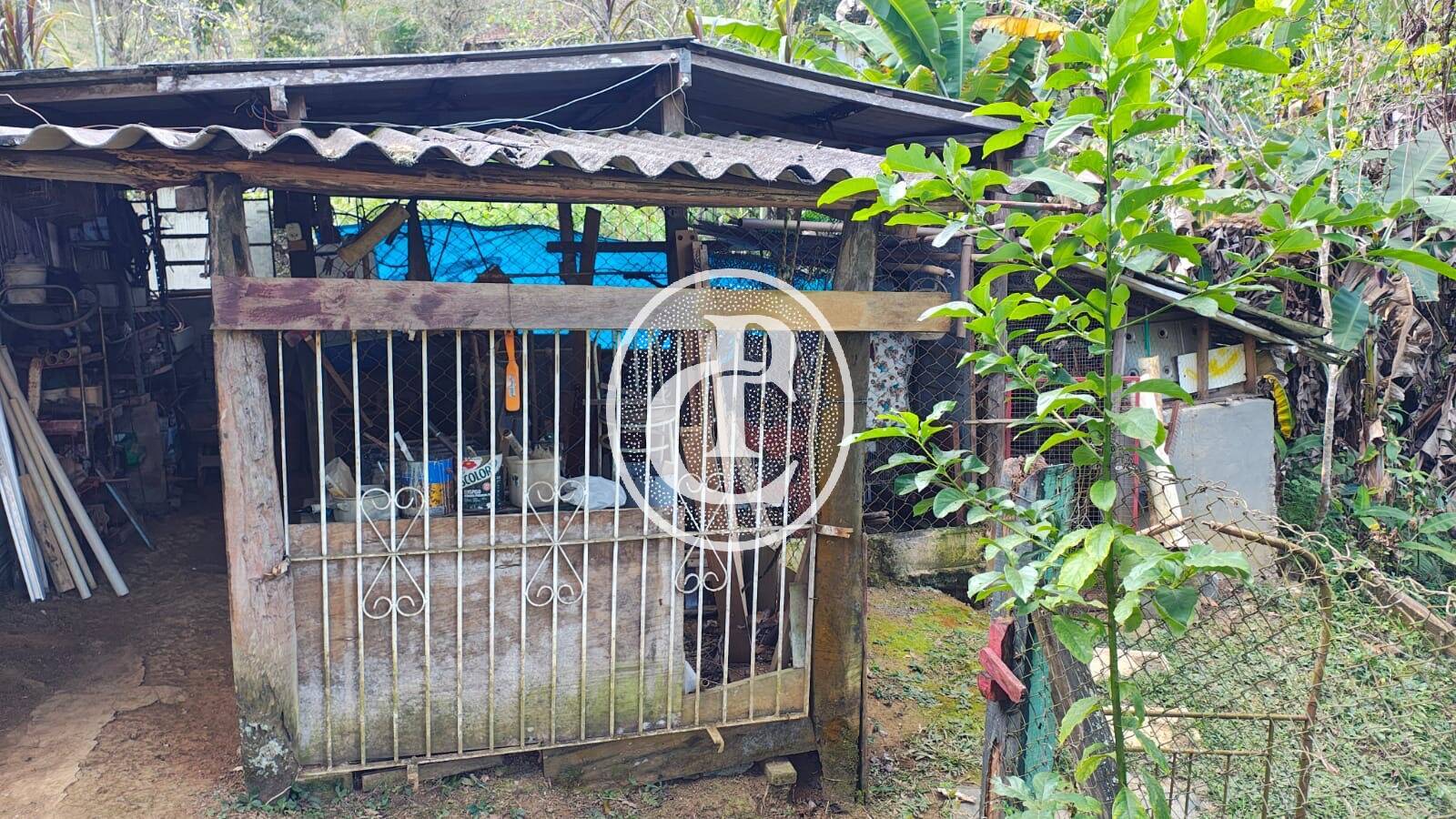 Sítio, 3 quartos, 4 hectares - Foto 37