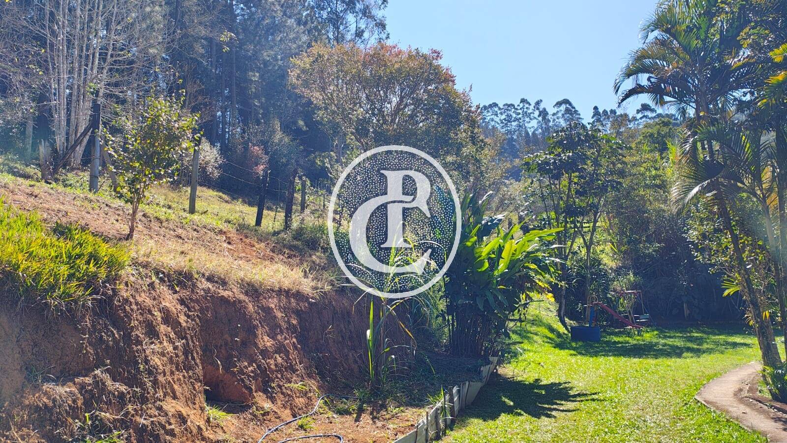 Sítio, 3 quartos, 4 hectares - Foto 29