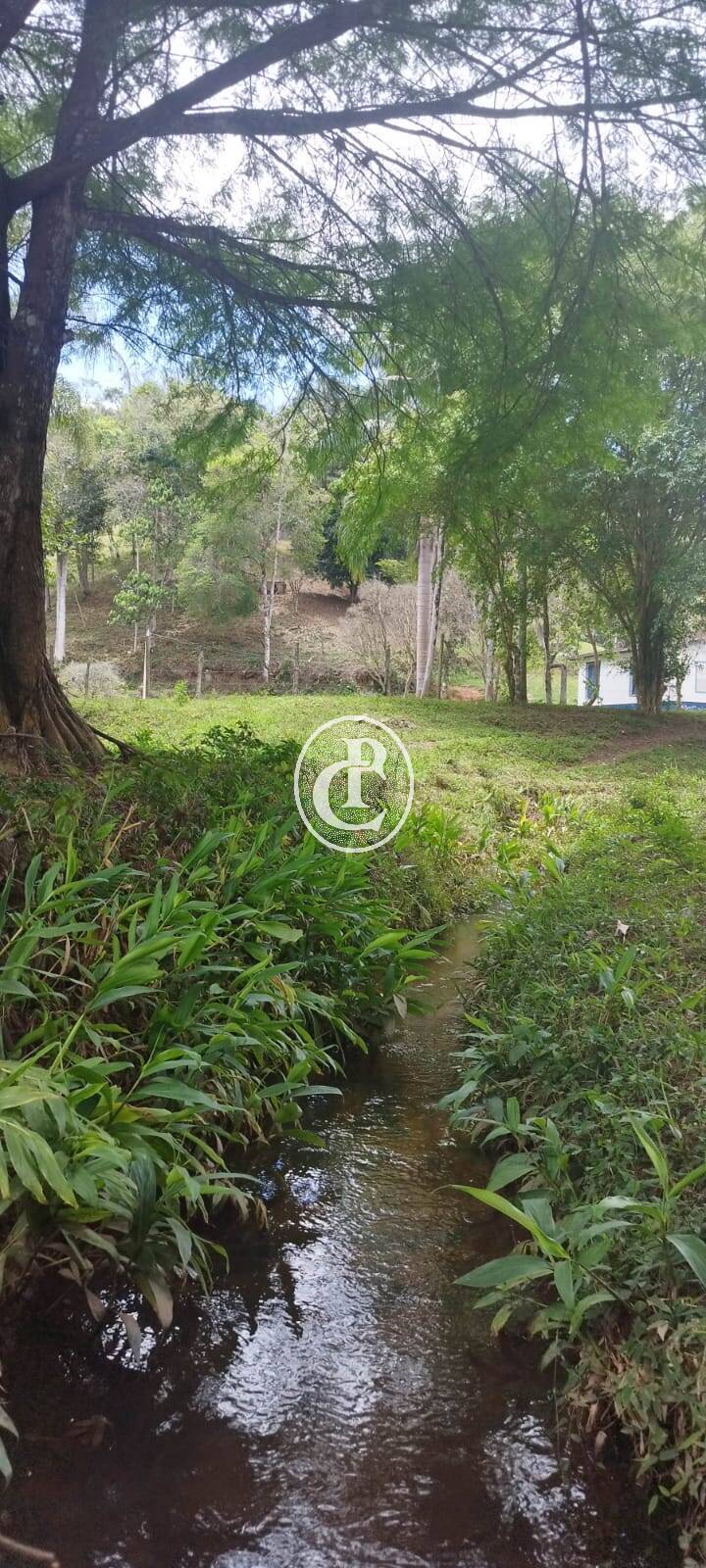 Sítio, 5 quartos, 4990 m² - Foto 3