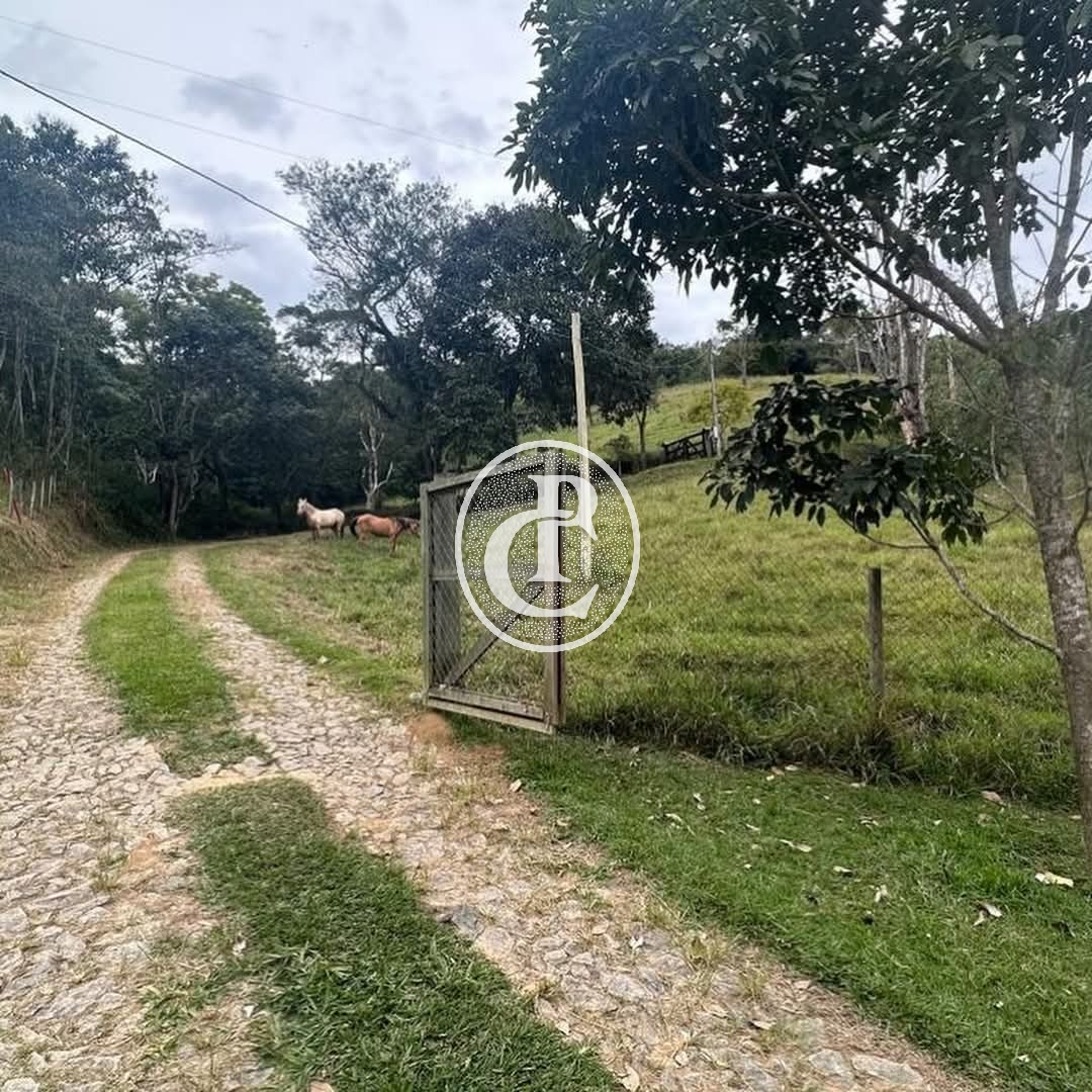 Sítio, 2 quartos, 2 hectares - Foto 11