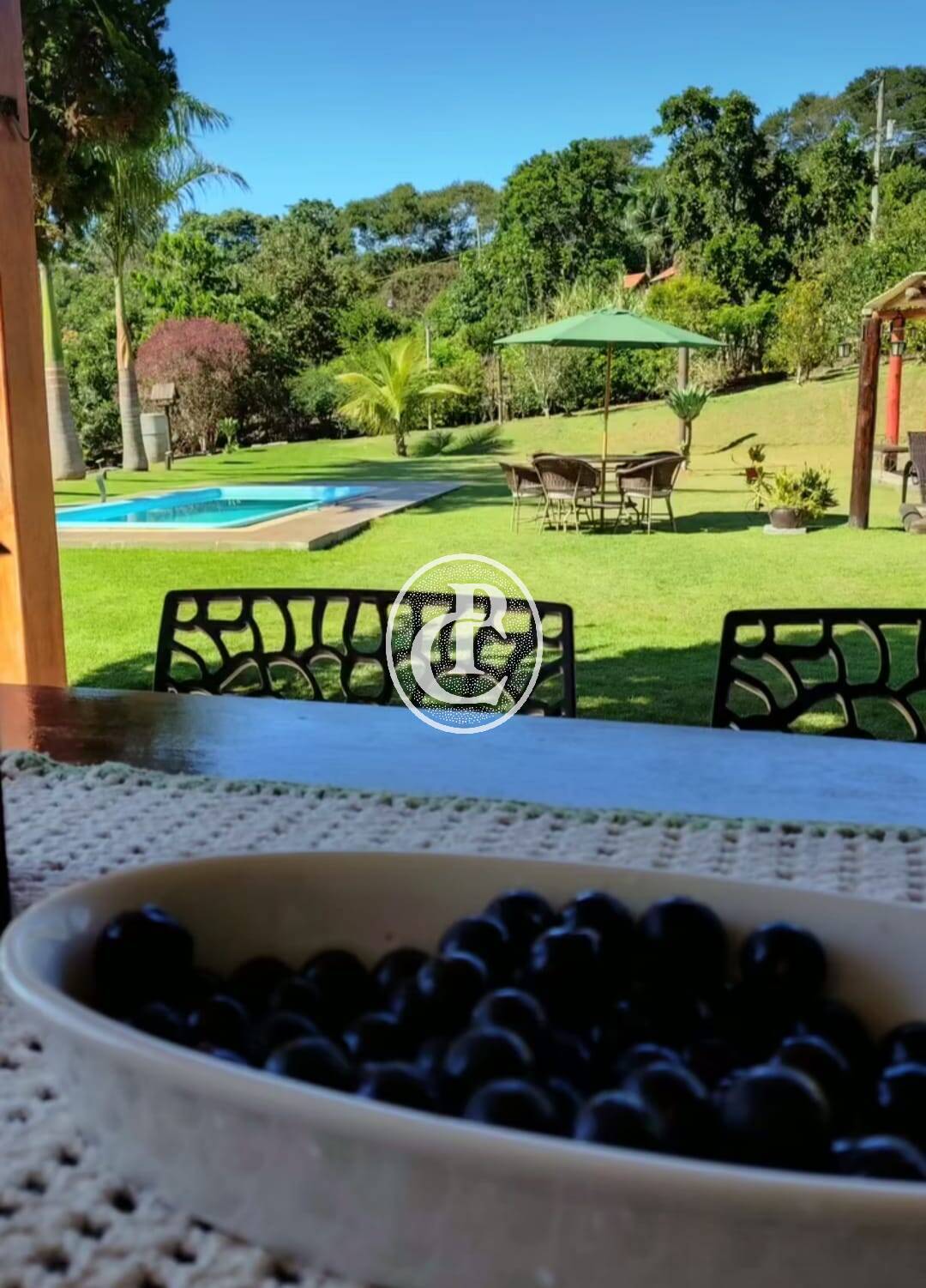 Sítio, 2 quartos, 3200 m² - Foto 9