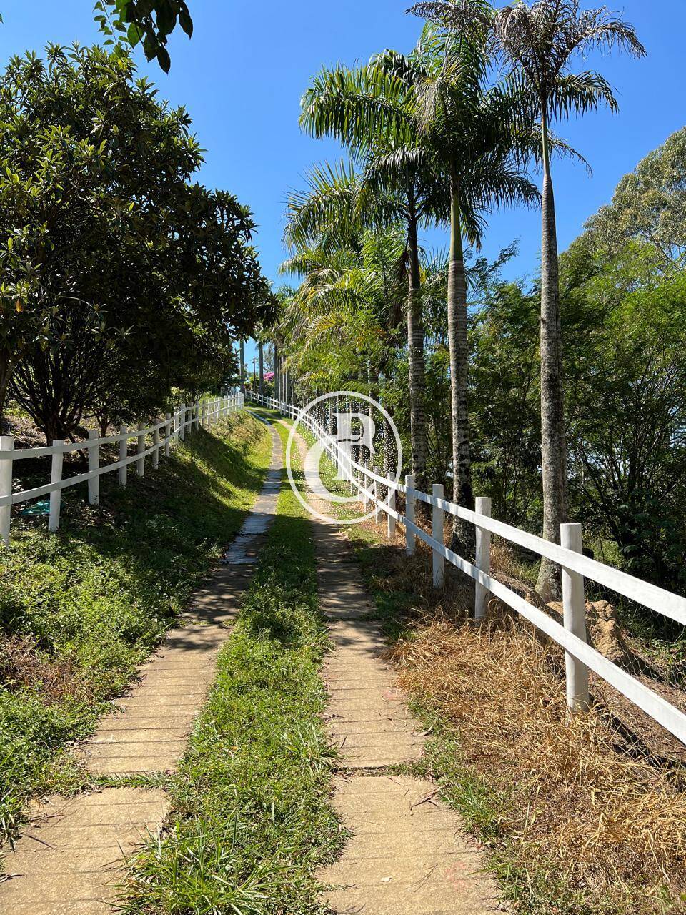 Terreno, 6 hectares - Foto 2