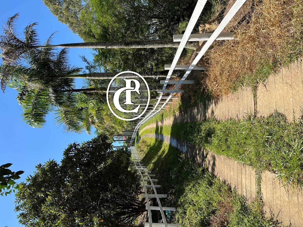 Terreno, 6 hectares - Foto 3