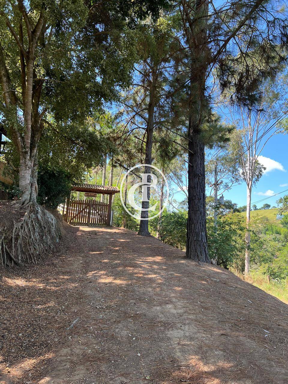 Terreno, 6 hectares - Foto 6