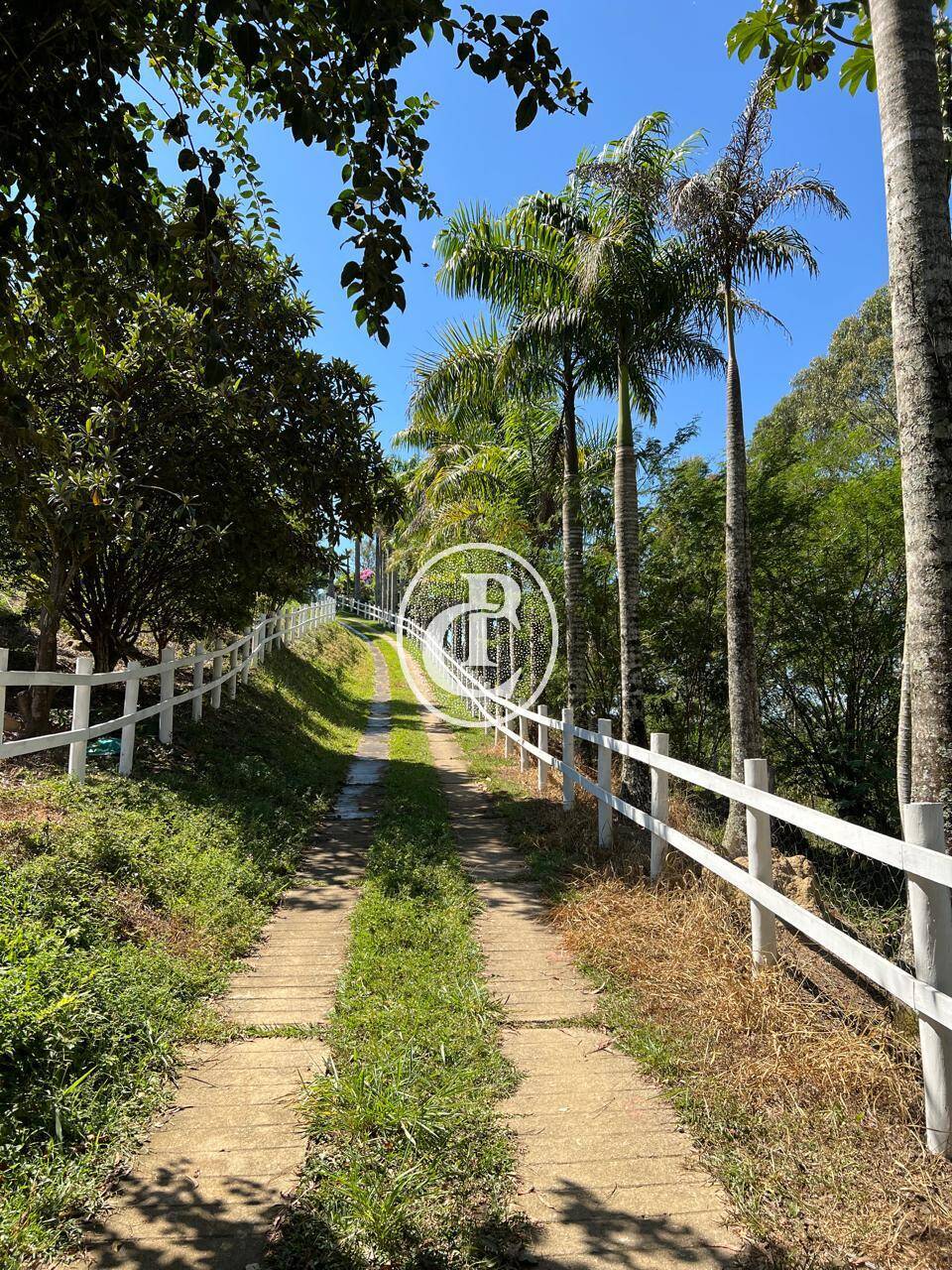 Terreno, 6 hectares - Foto 7