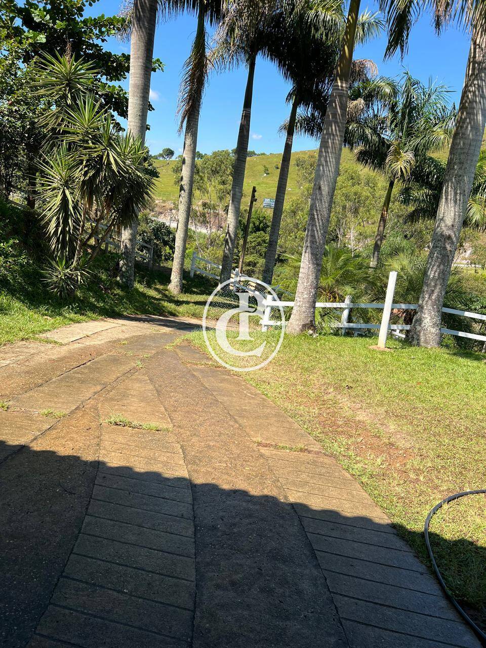 Terreno, 6 hectares - Foto 12