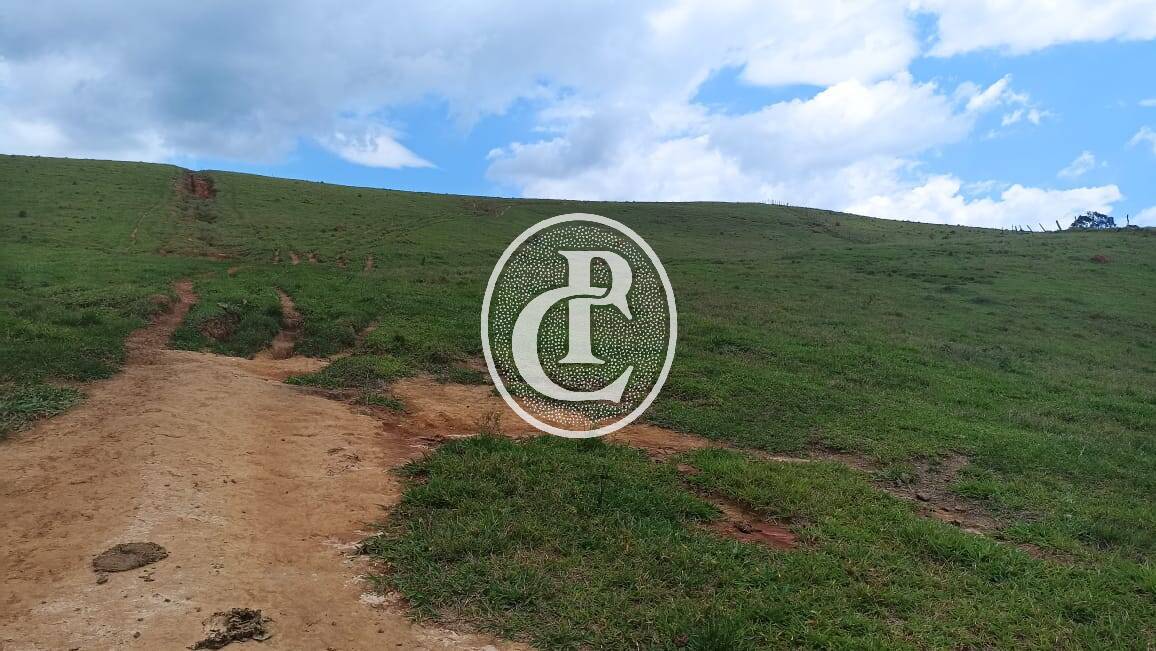 Terreno, 73 hectares - Foto 7