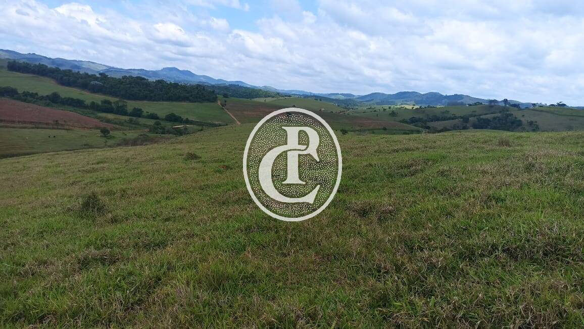 Terreno, 73 hectares - Foto 8