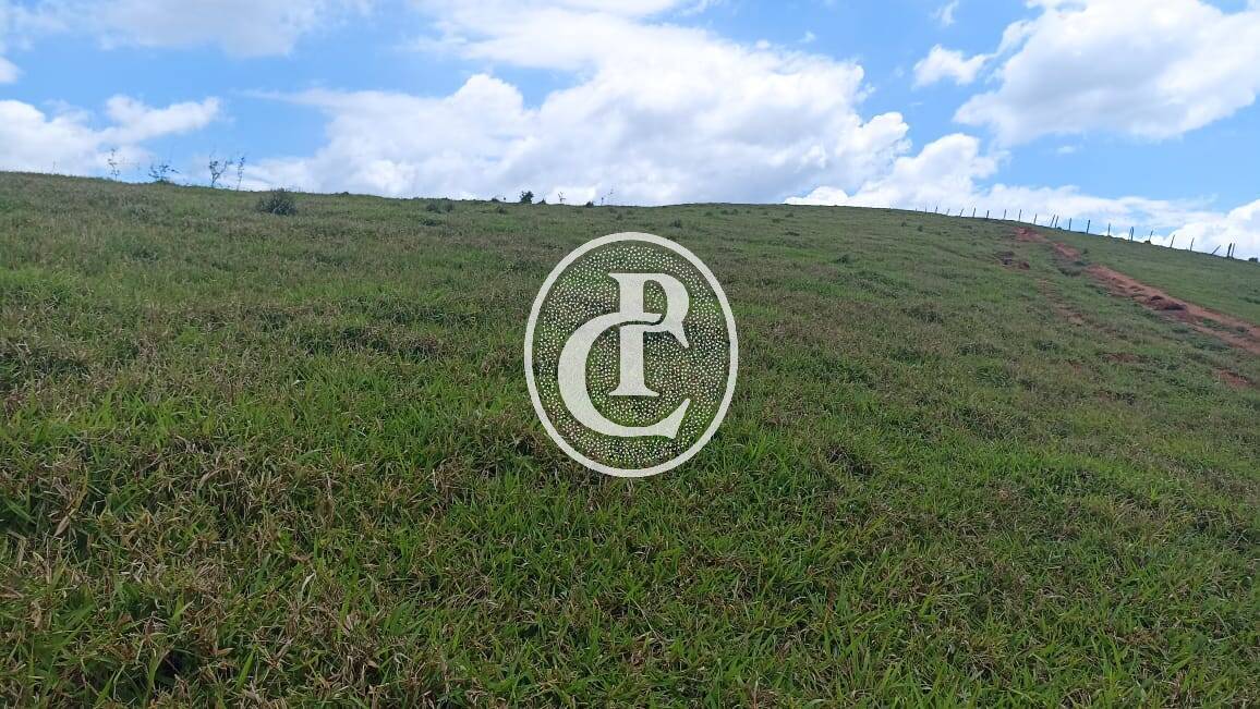 Terreno, 73 hectares - Foto 3