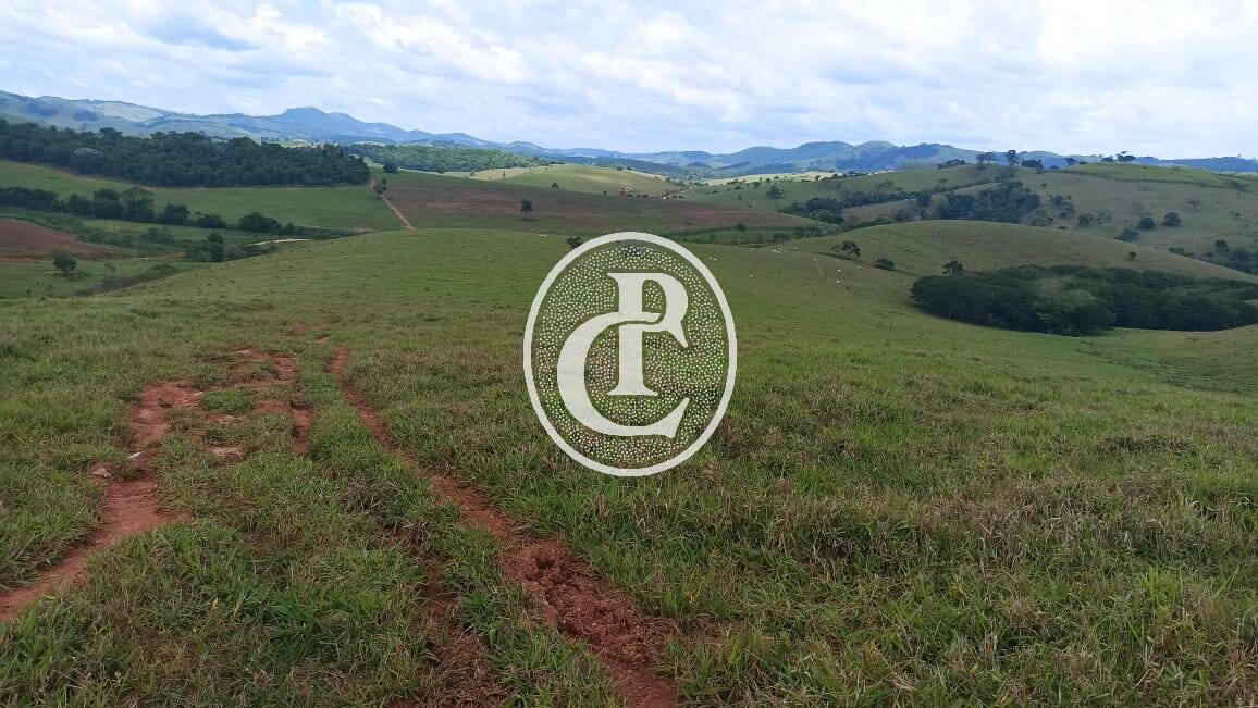 Terreno, 73 hectares - Foto 11