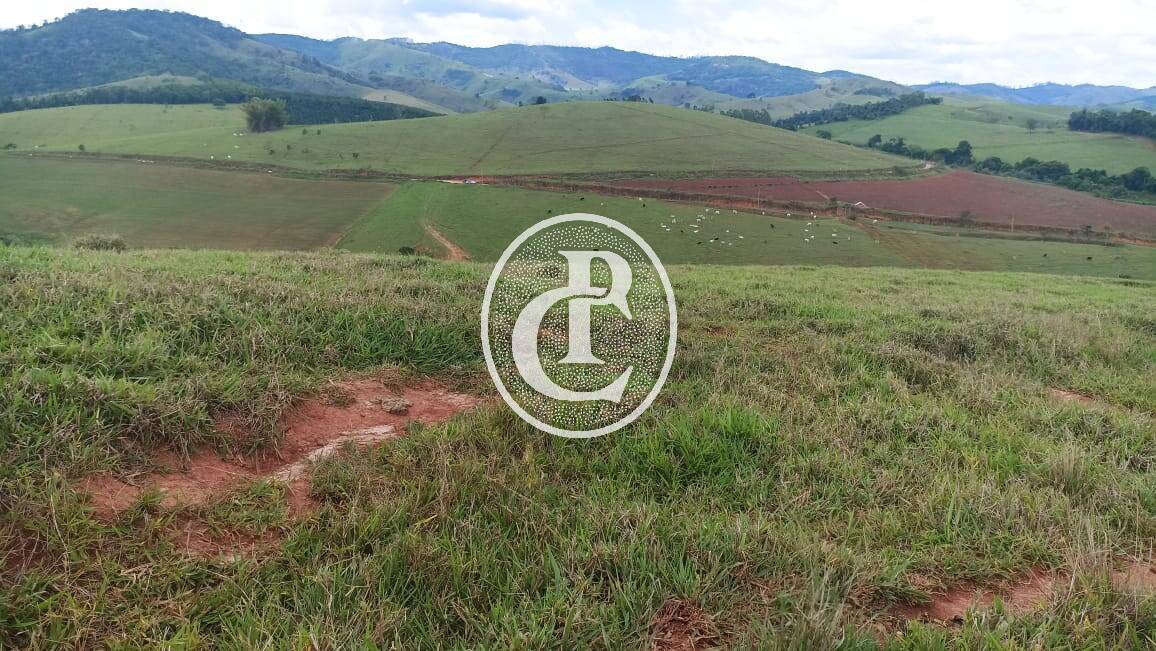 Terreno, 73 hectares - Foto 12