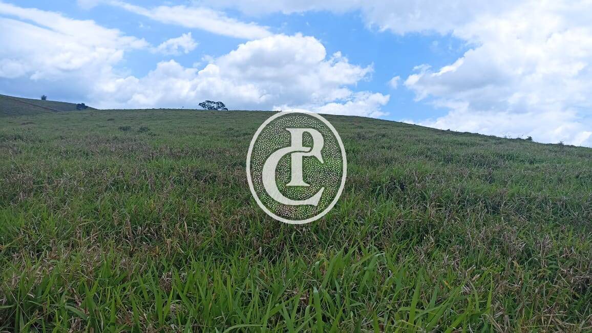 Terreno, 73 hectares - Foto 17