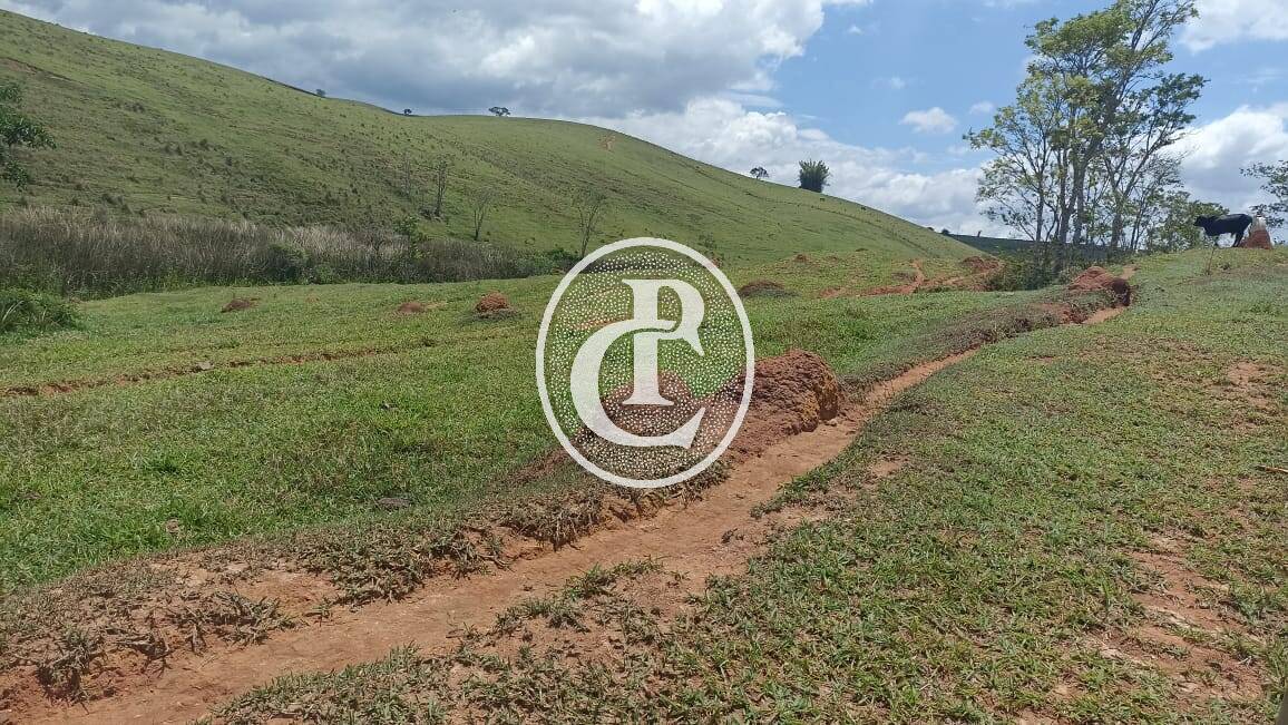 Terreno, 73 hectares - Foto 18