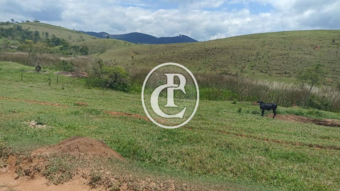 Terreno, 73 hectares - Foto 19