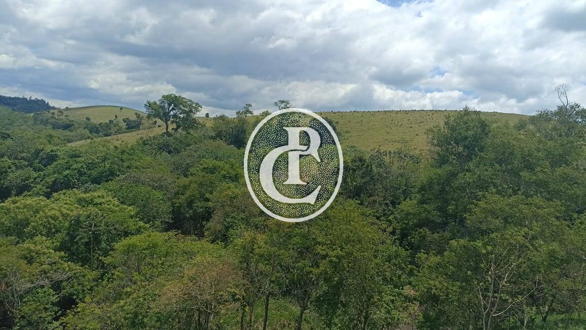 Terreno, 73 hectares - Foto 22