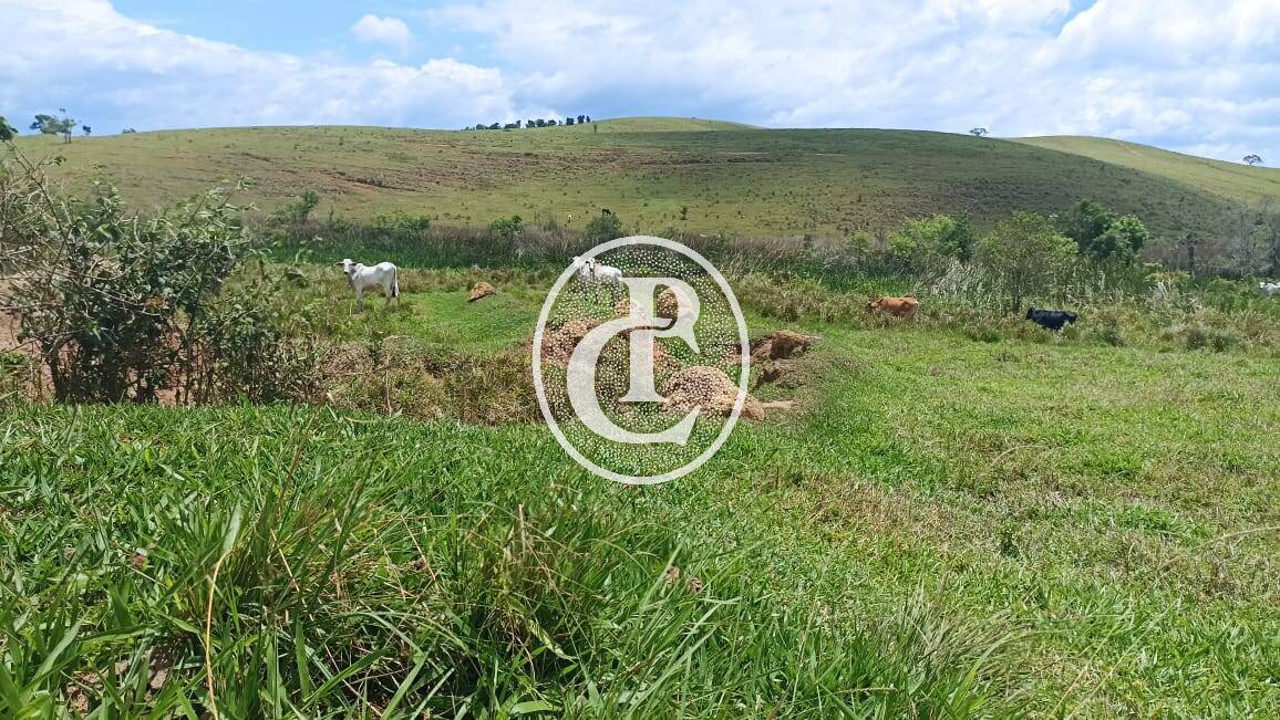 Terreno, 73 hectares - Foto 26