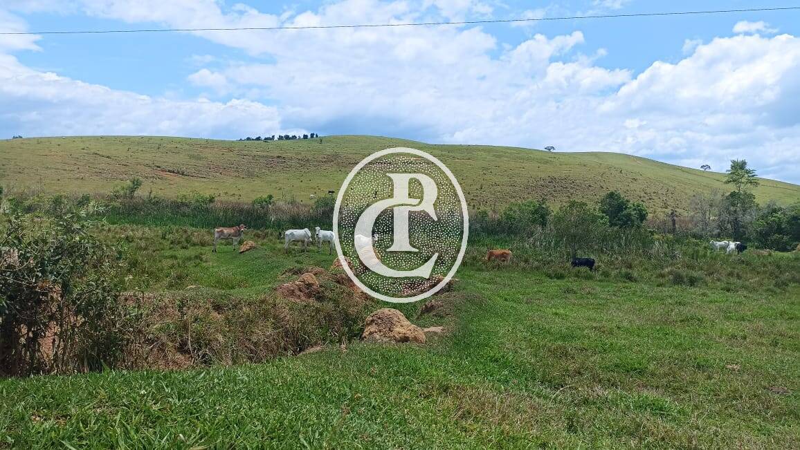 Terreno, 73 hectares - Foto 29