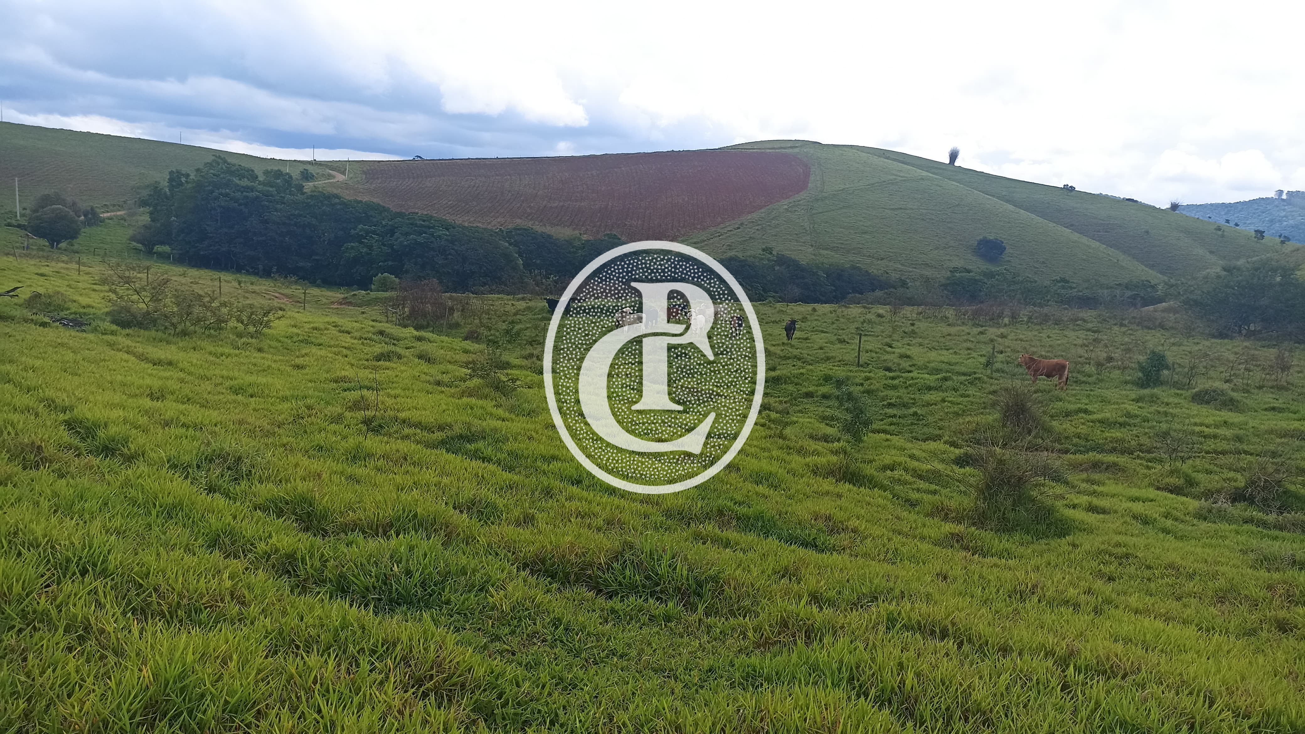 Terreno, 70 hectares - Foto 4