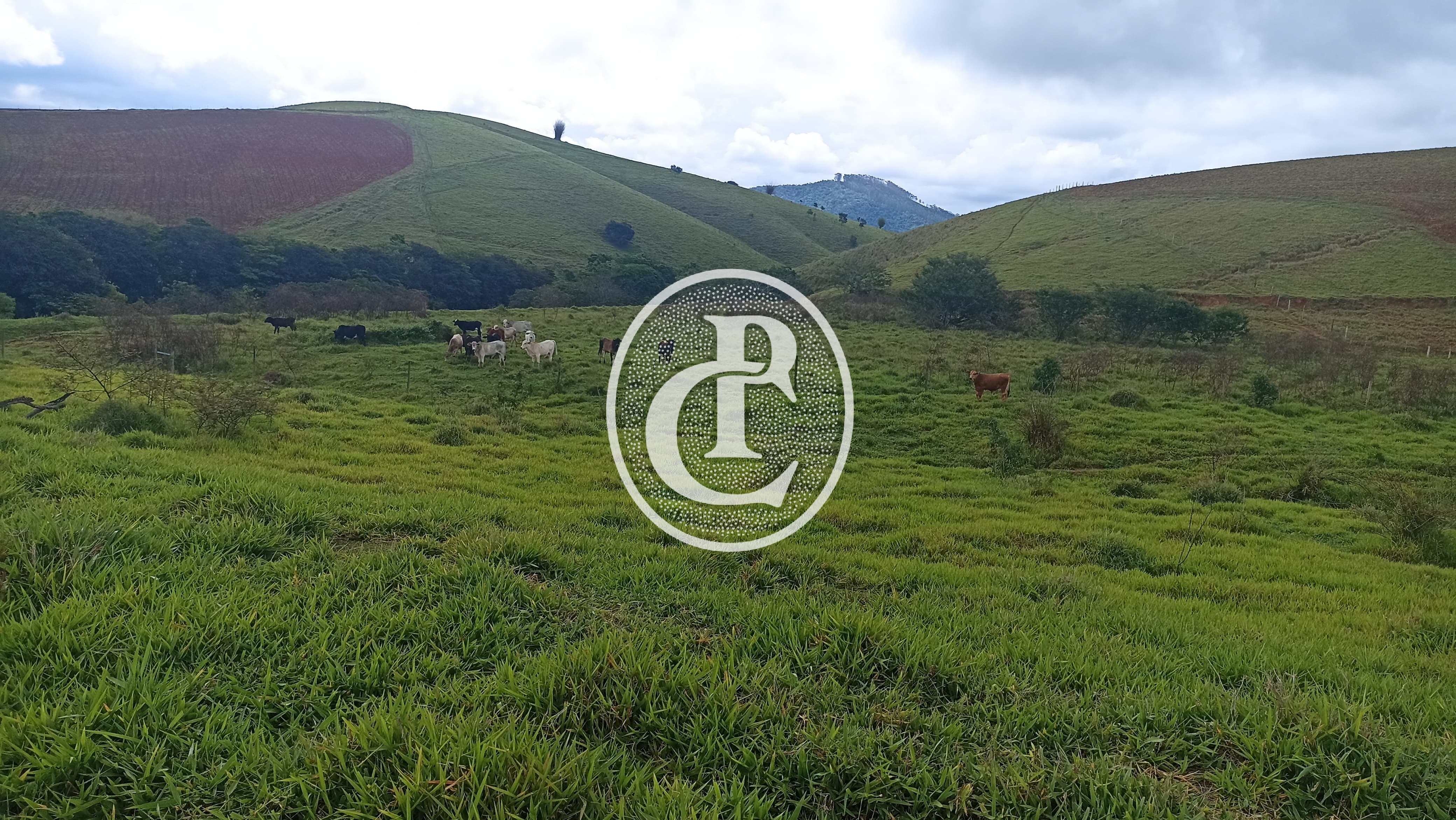 Terreno, 70 hectares - Foto 5