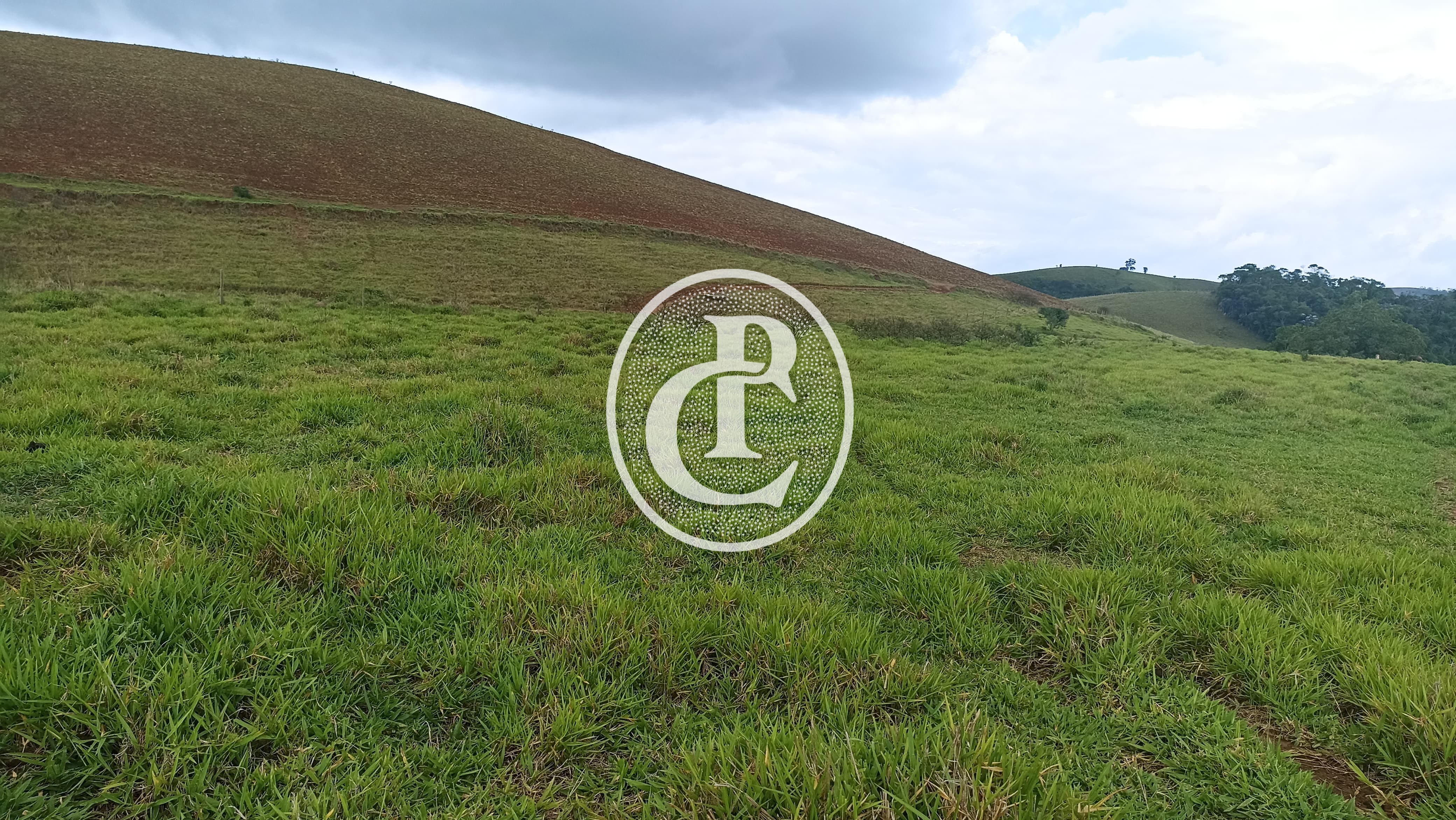 Terreno, 70 hectares - Foto 6