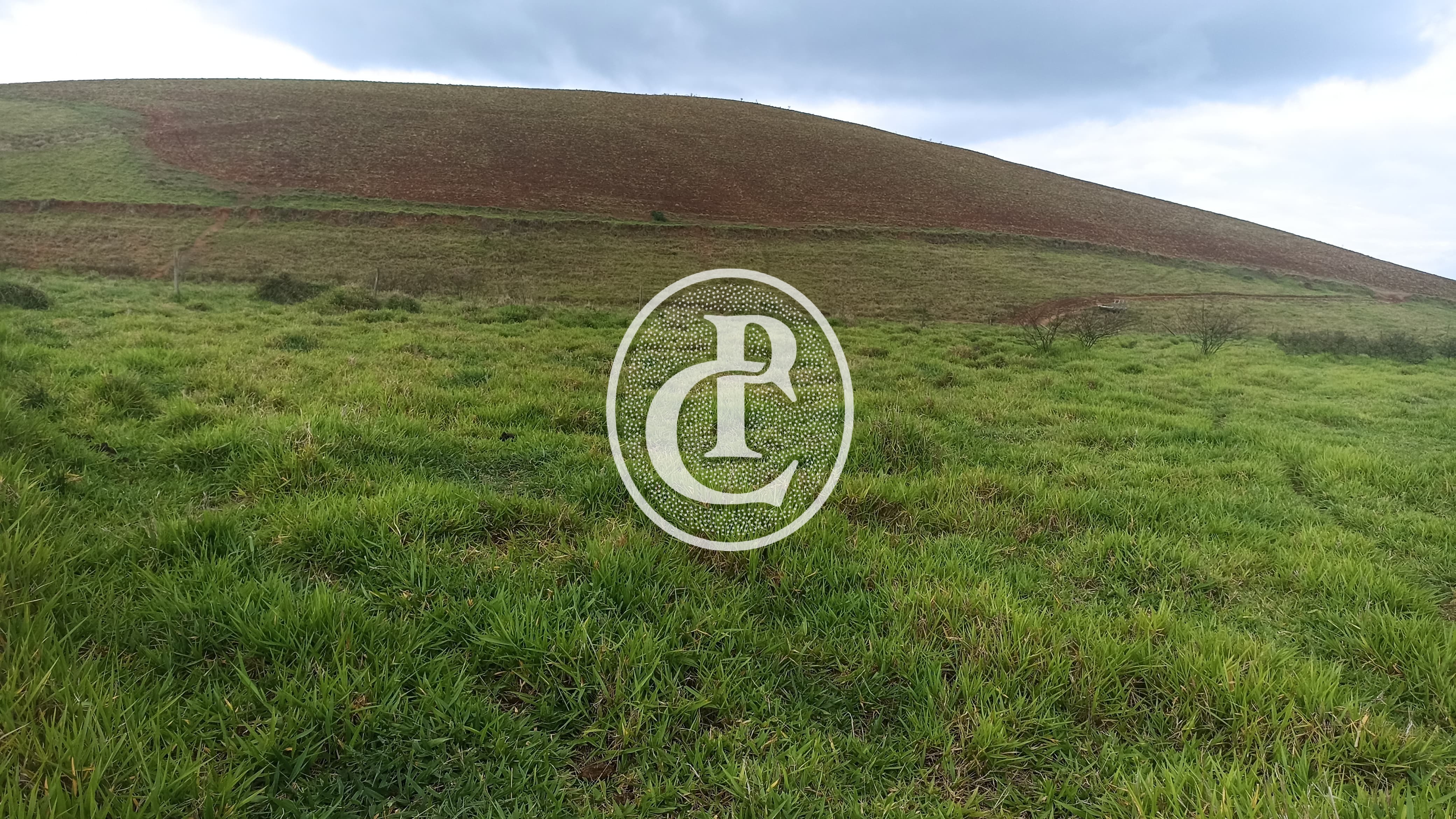 Terreno, 70 hectares - Foto 7