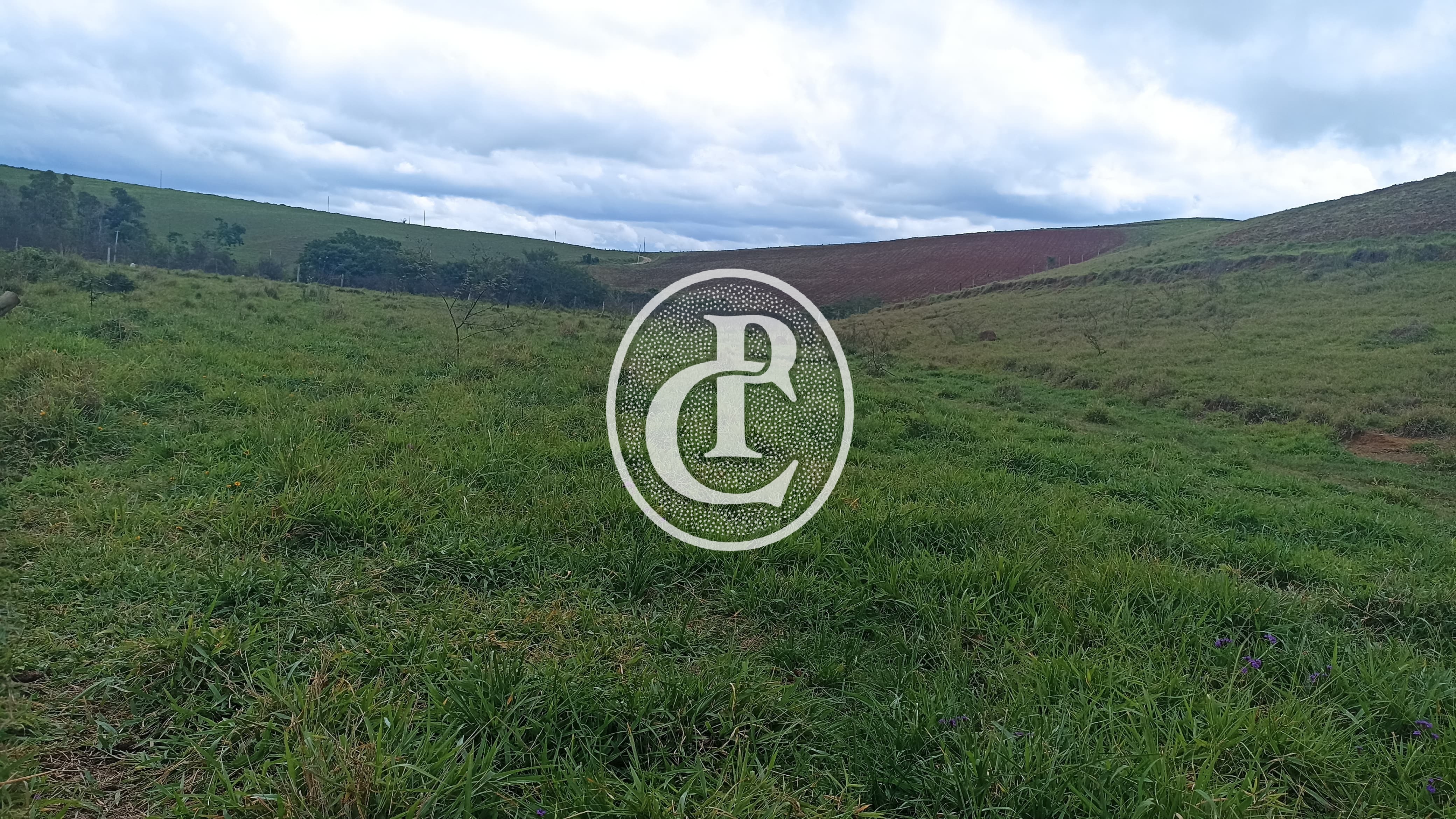 Terreno, 70 hectares - Foto 8