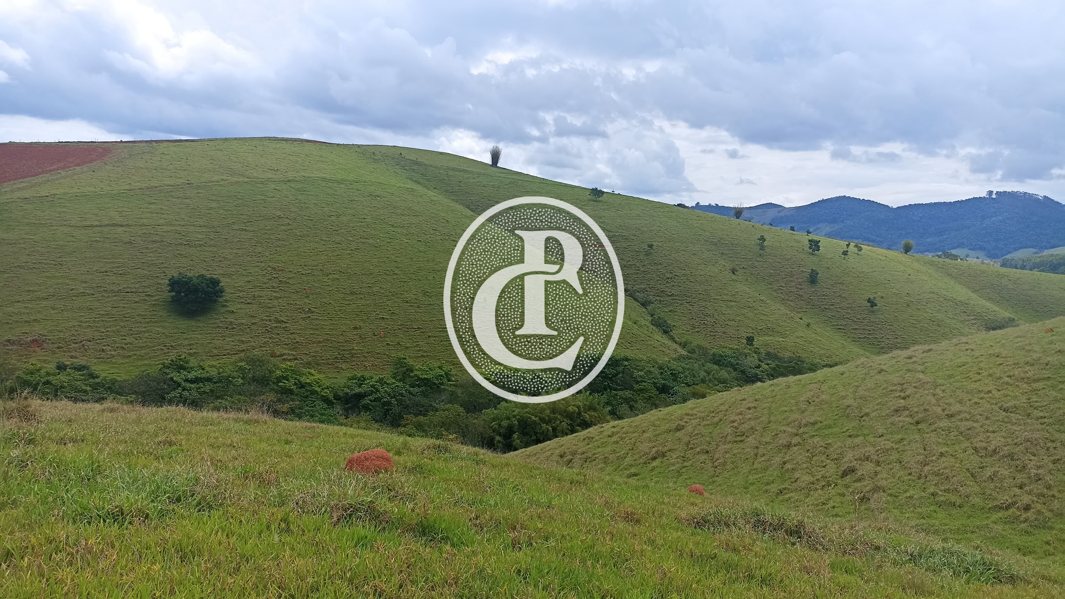 Terreno, 70 hectares - Foto 14