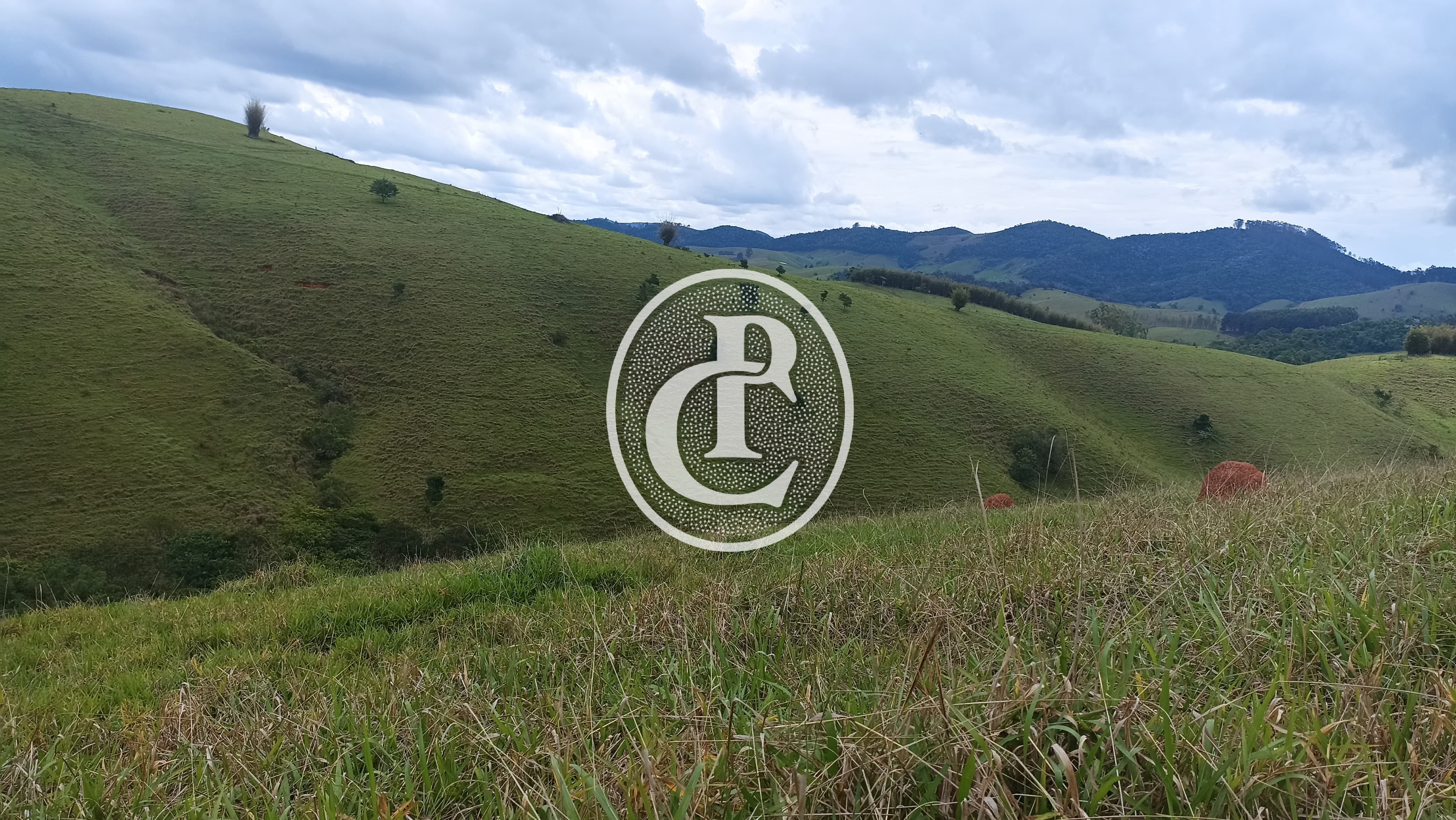 Terreno, 70 hectares - Foto 21