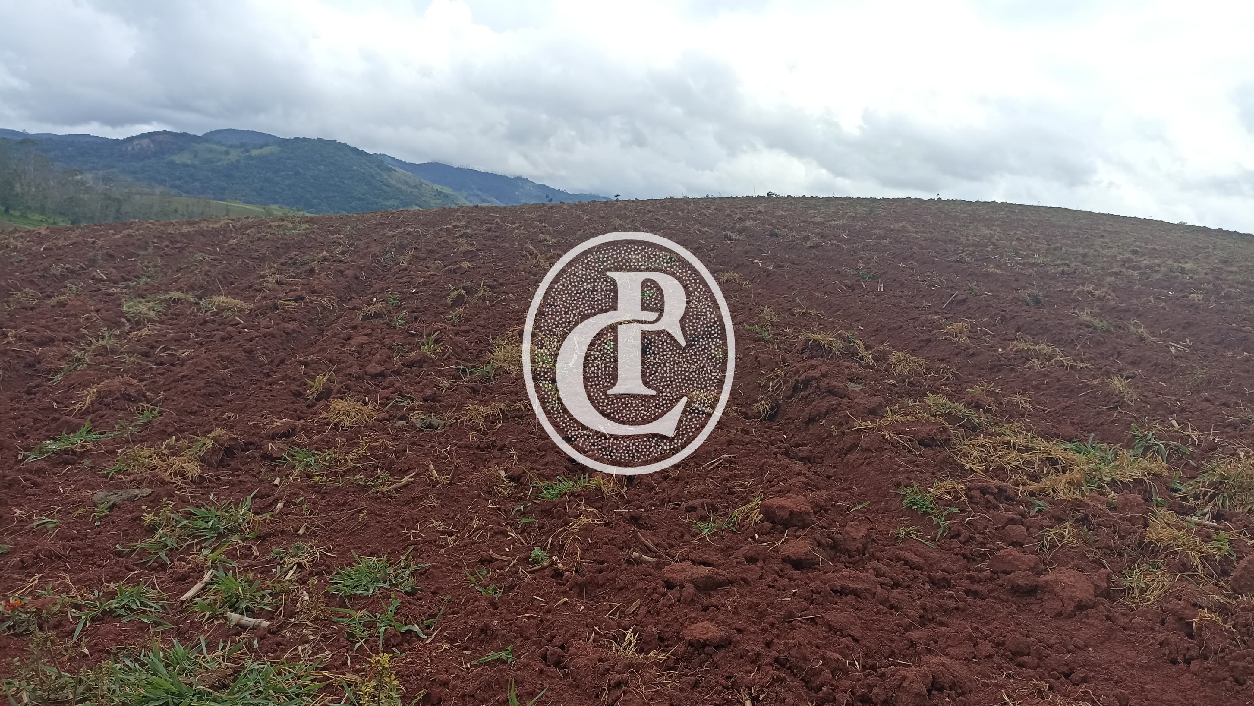 Terreno, 70 hectares - Foto 3