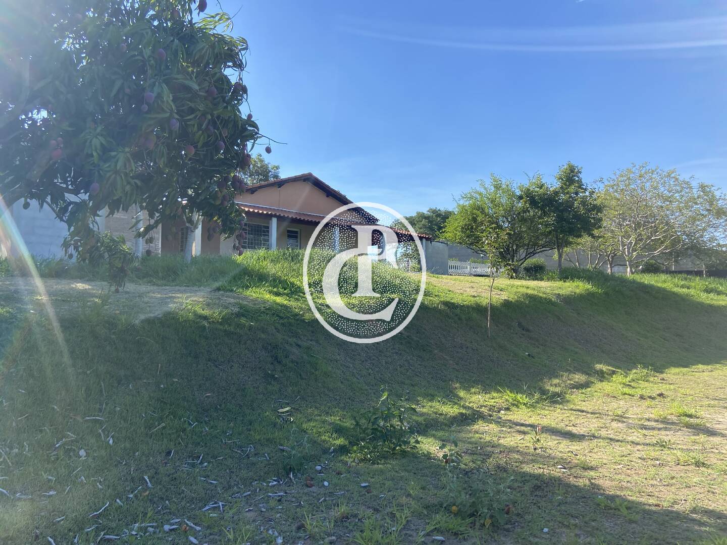 Chácara, 2 quartos, 10000 m² - Foto 15