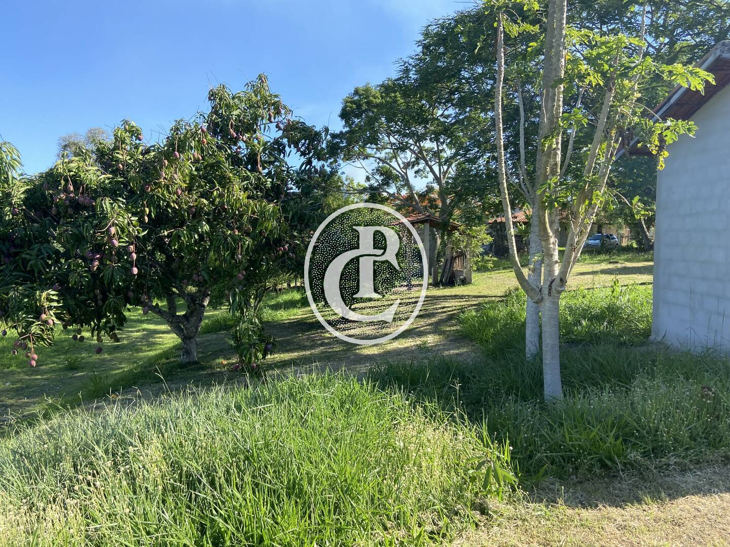 Chácara, 2 quartos, 10000 m² - Foto 17