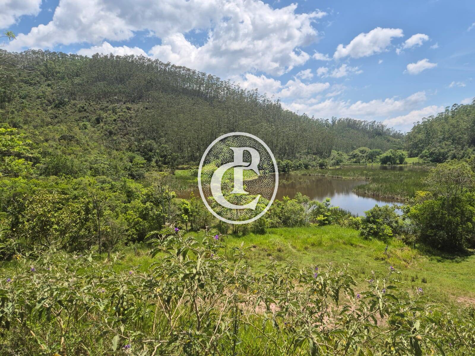 Fazenda, 149 m² - Foto 15