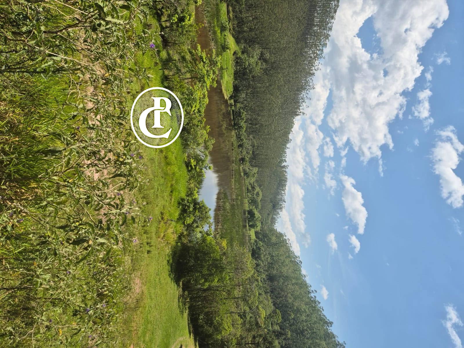 Fazenda, 149 m² - Foto 16