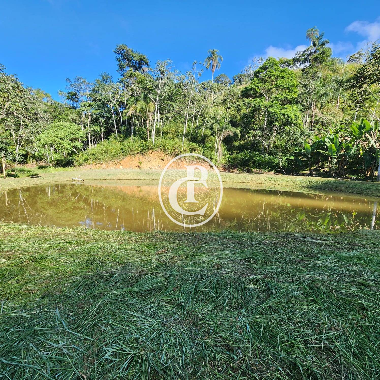 Sítio, 3 quartos, 2 hectares - Foto 1