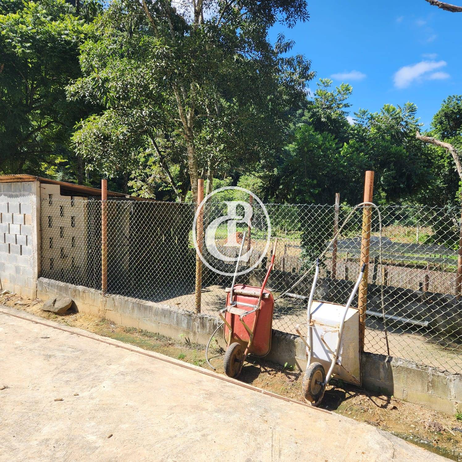 Sítio, 3 quartos, 2 hectares - Foto 5