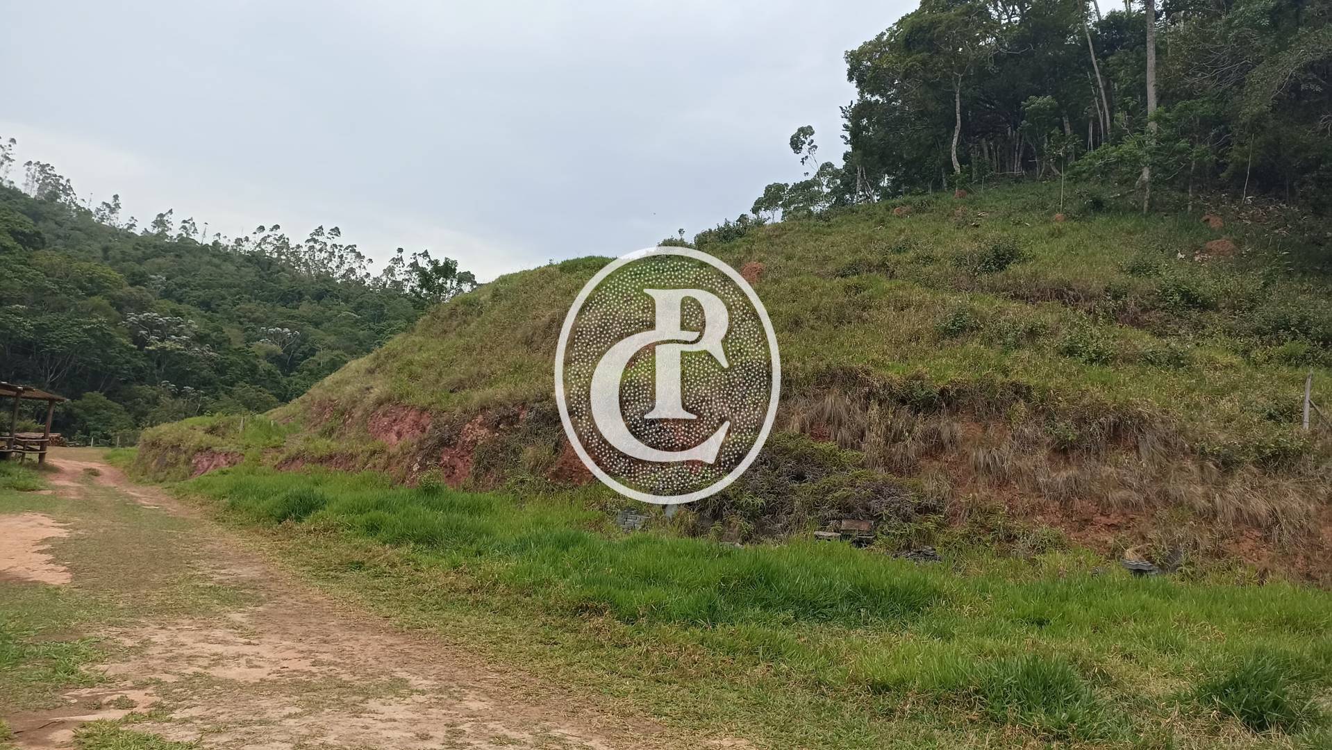 Terreno, 2 hectares - Foto 4