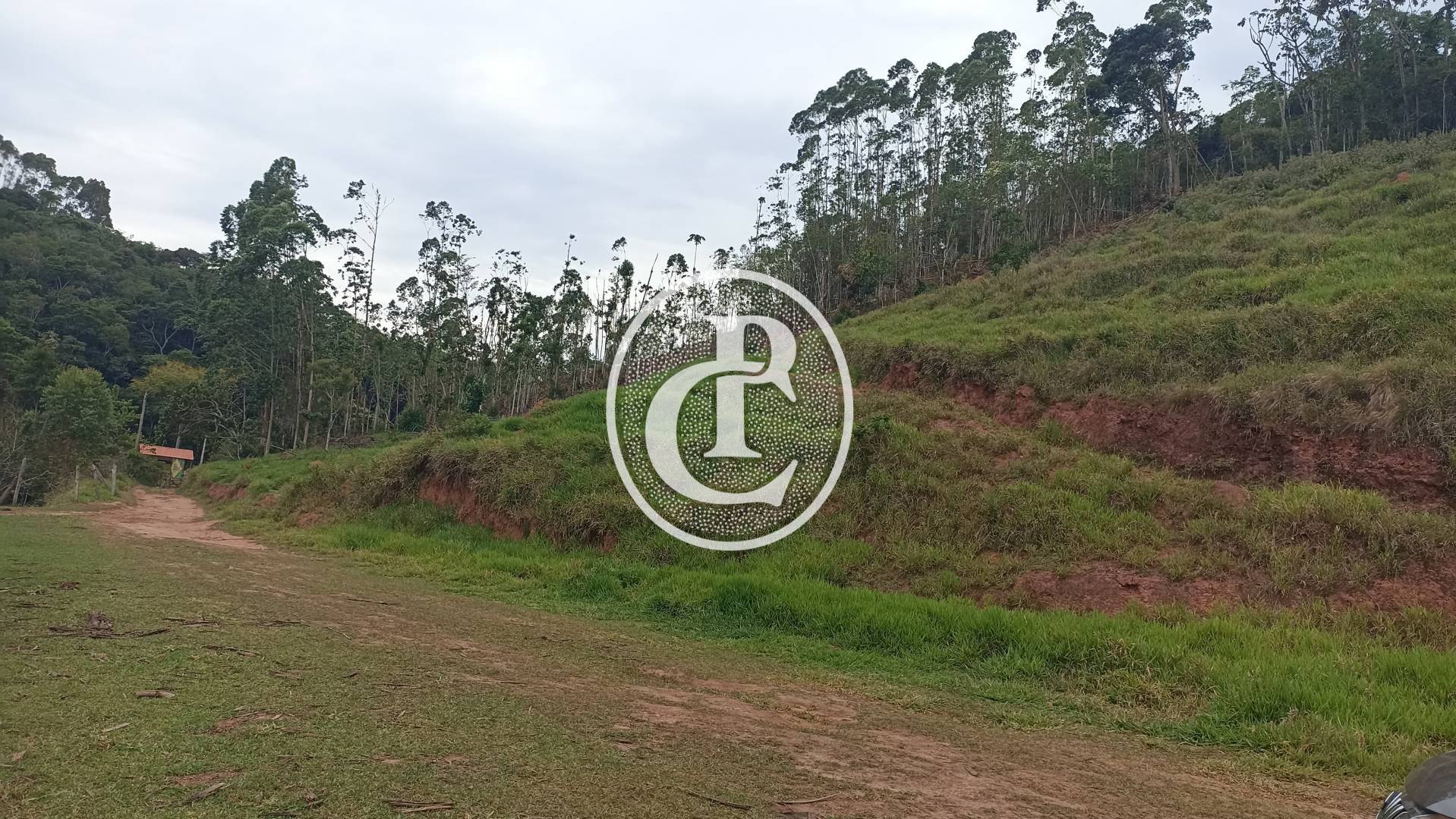 Terreno, 2 hectares - Foto 5