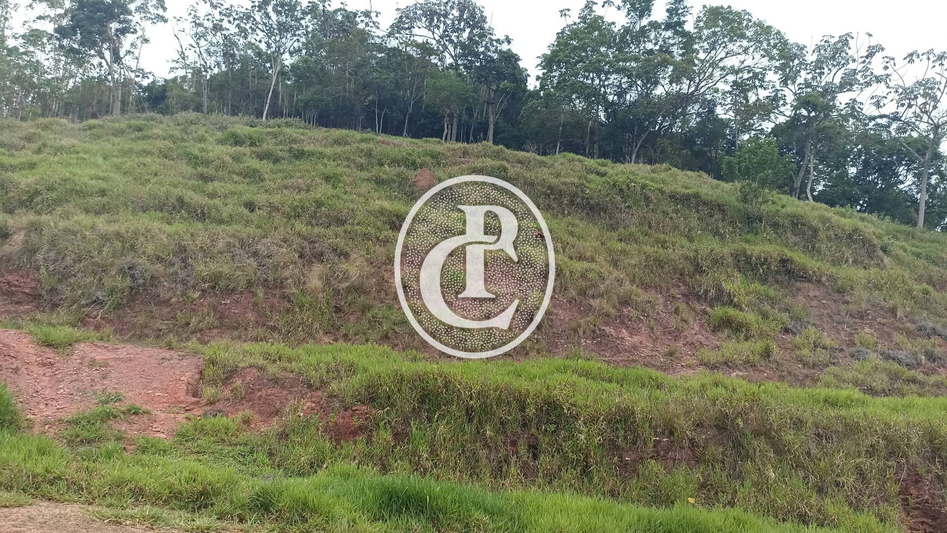 Terreno, 2 hectares - Foto 6