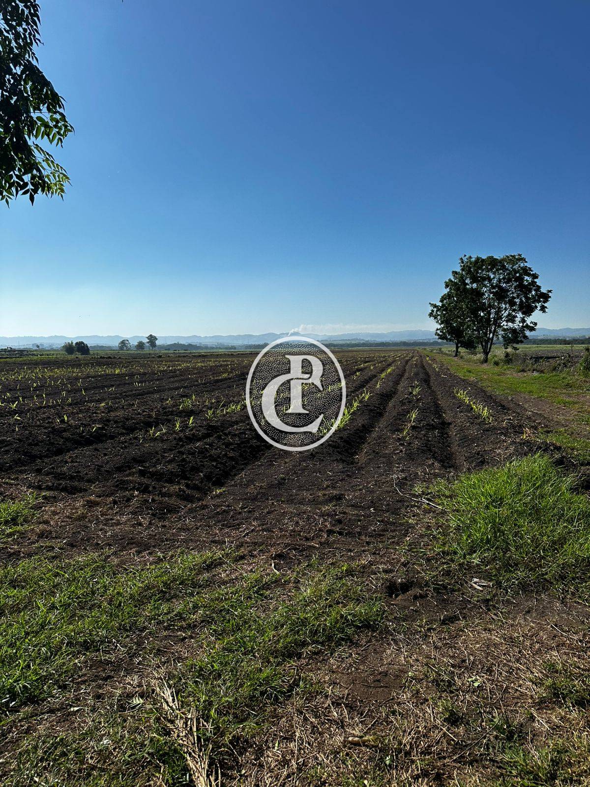 Sítio, 3 quartos, 17 hectares - Foto 3