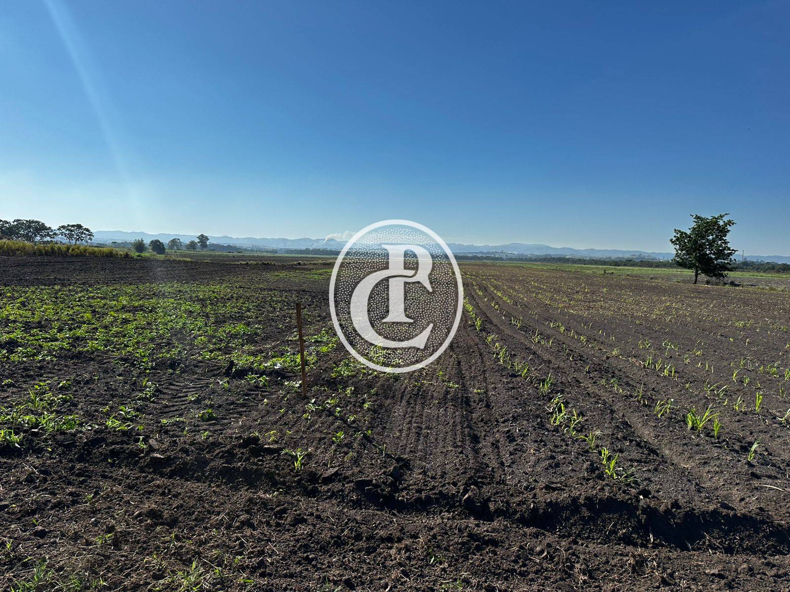 Sítio, 3 quartos, 17 hectares - Foto 4