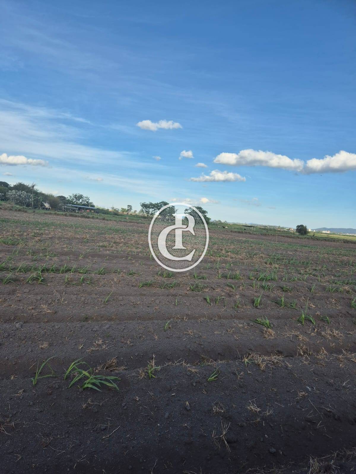 Sítio, 3 quartos, 17 hectares - Foto 2